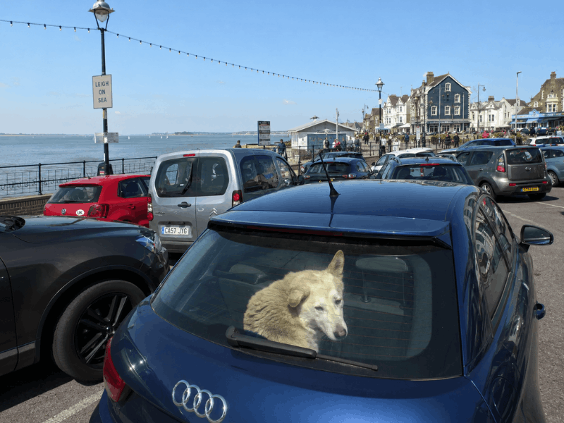 child or pet locked in car Essex — emergency car lockout response